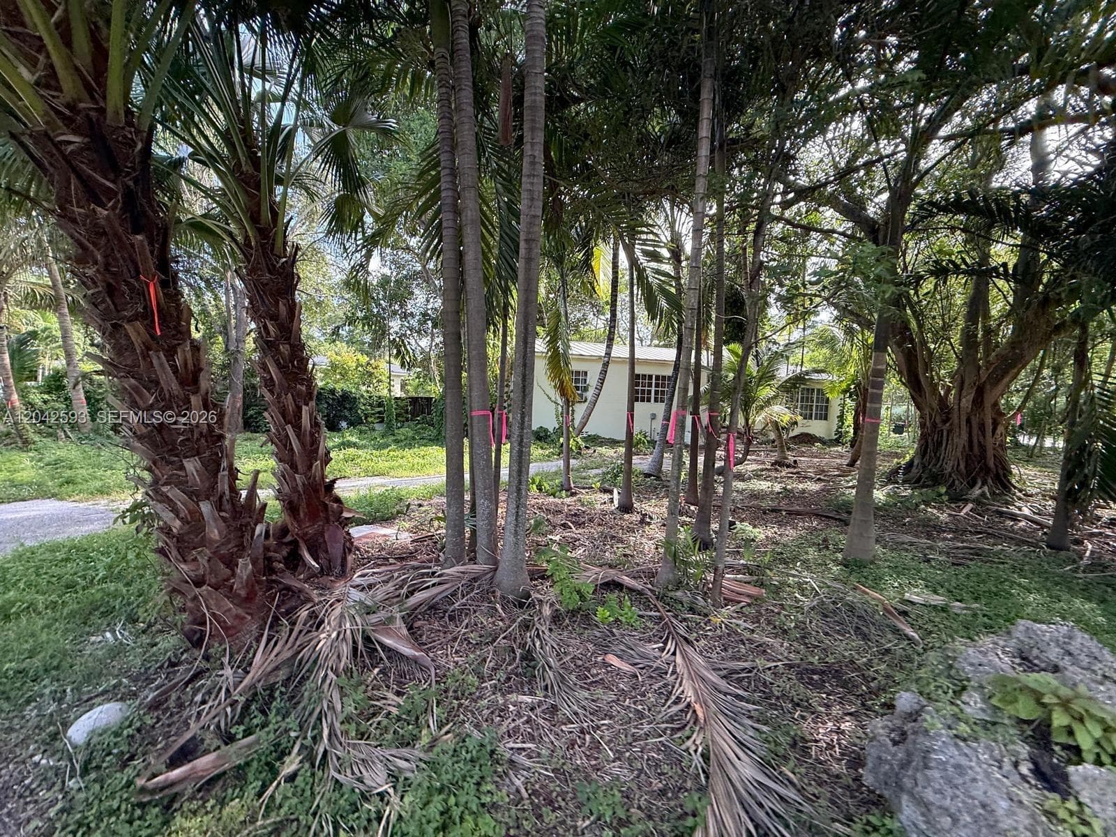 Single Family Residence at 6600 SW 64th Ct, South Miami FL 33143