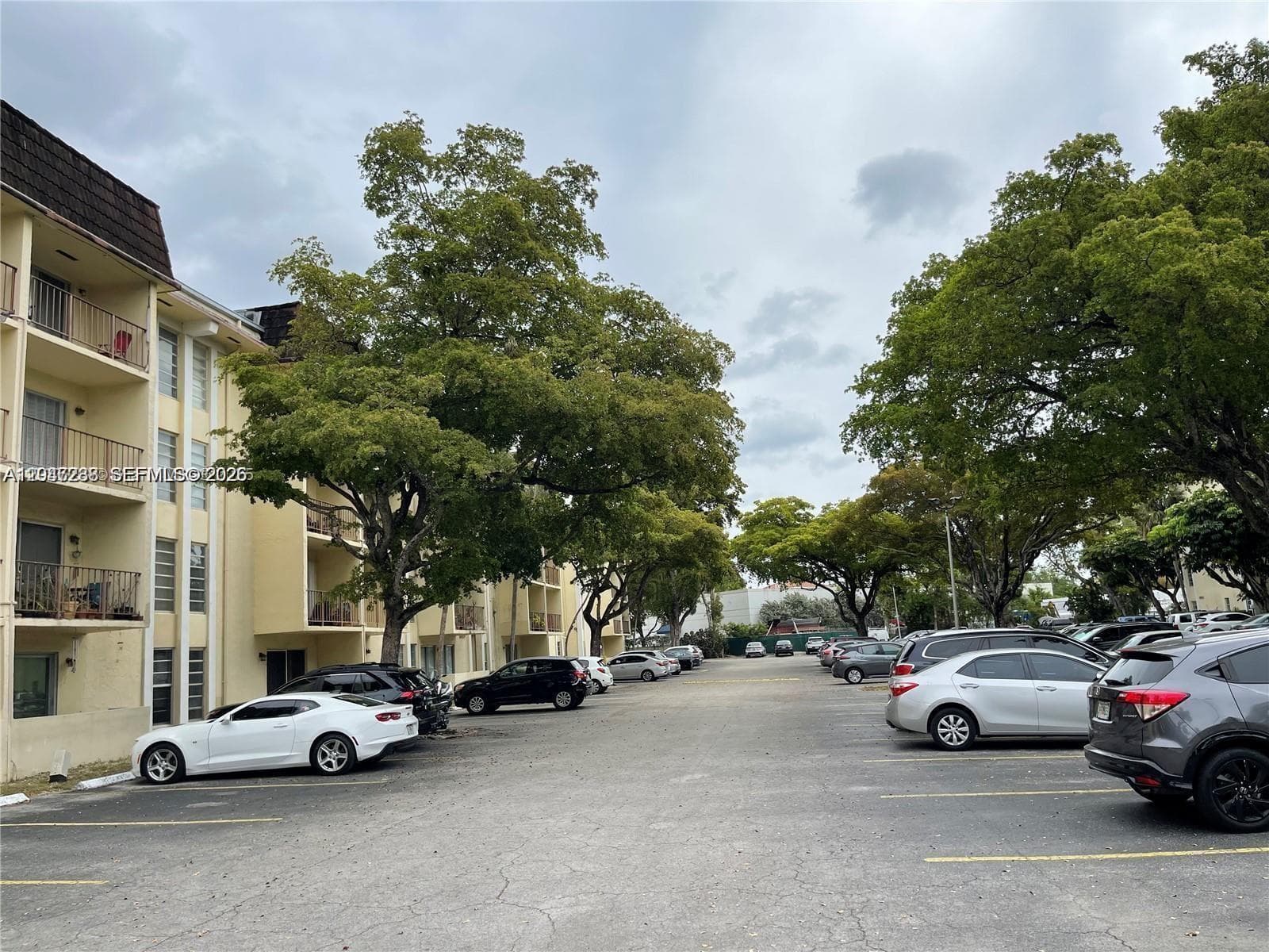 Condominium at 12035 NE 2nd Ave # A209, North Miami FL 33161