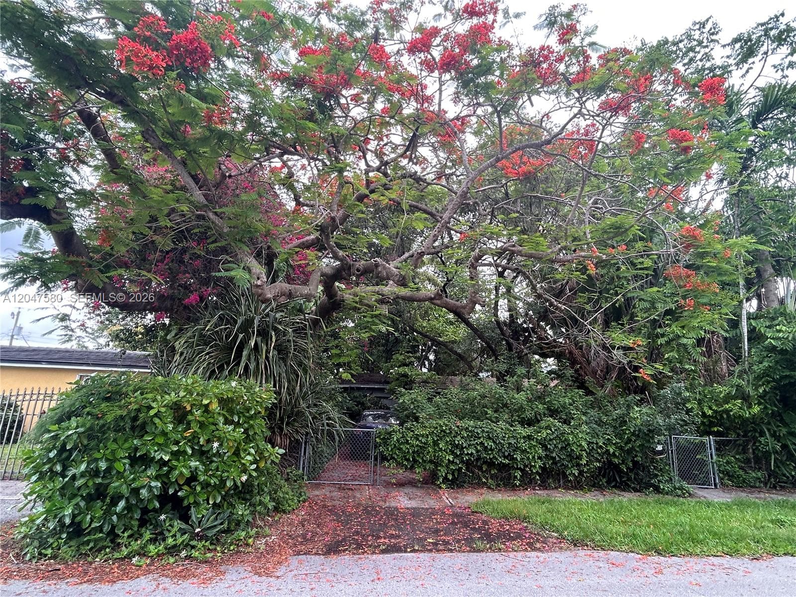 Single Family Residence at 8285 SW 47th St, Miami FL 33155